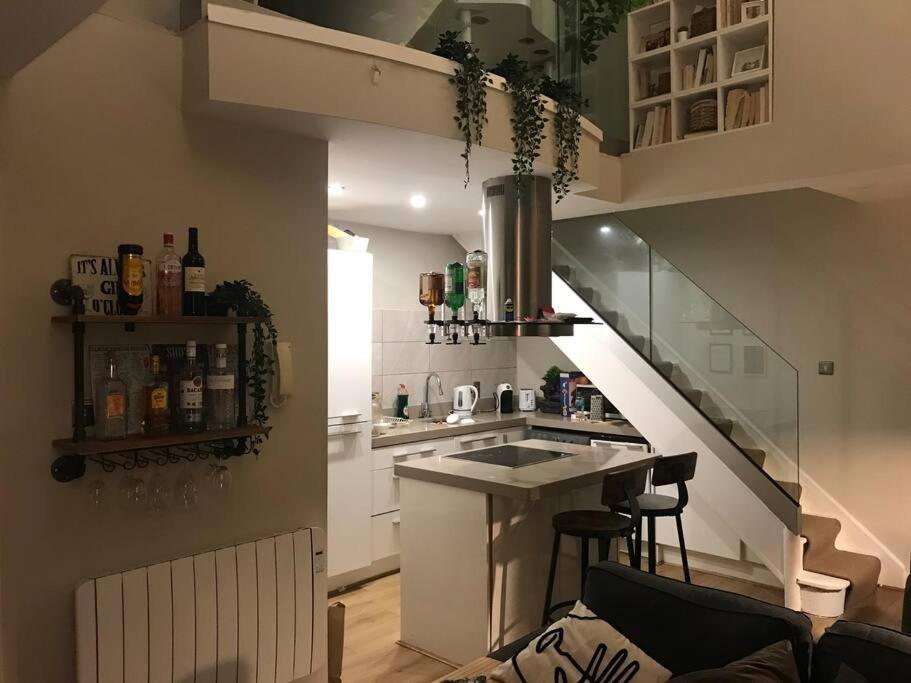 The Friary Temple Bar Penthouse Loft W/roof Garden Apartment Dublin