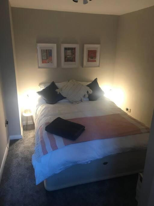 The Friary Temple Bar Penthouse Loft W/roof Garden Apartment *
