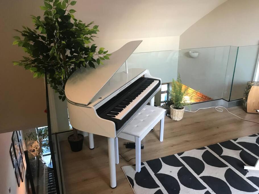 The Friary Temple Bar Penthouse Loft W/roof Garden Apartment