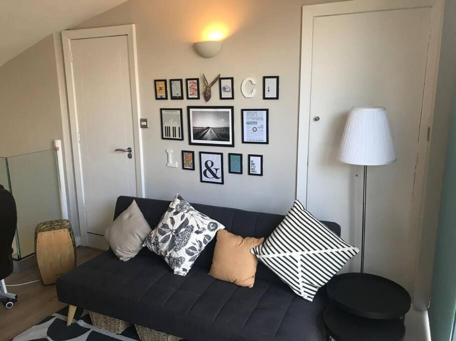 The Friary Temple Bar Penthouse Loft W/roof Garden Apartment